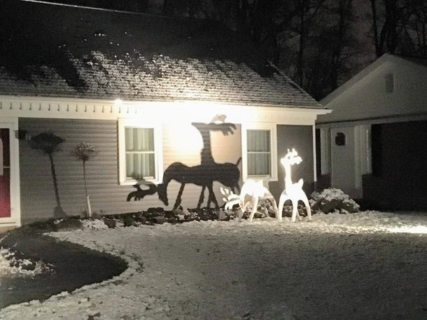 My cousin has no idea why people are laughing at her deer