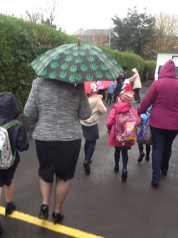 My cousin saw a  year old grandmother open this umbrella while dropping off her grandson at school