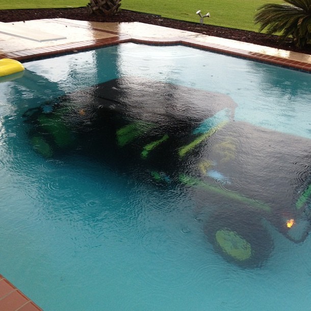 My cousin snapped this pic earlier of a gator in a more natural habitat