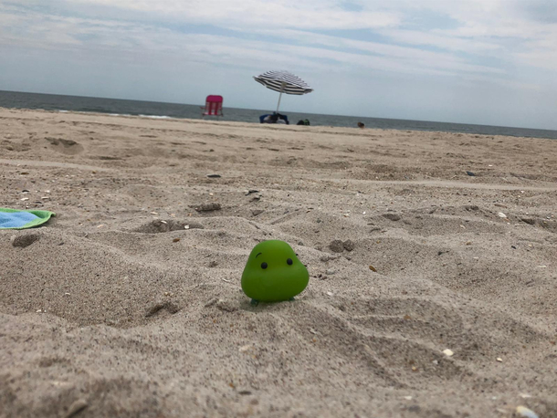 My cousin stole my daughters favourite bath toy and now he is traveling the world