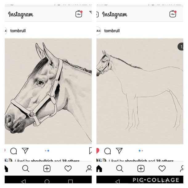 My cousins donkey on Instagram