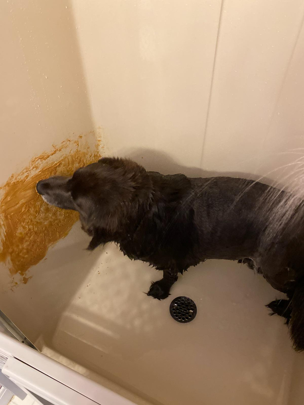 My cousins uses peanut butter to keep the dog still during a bath