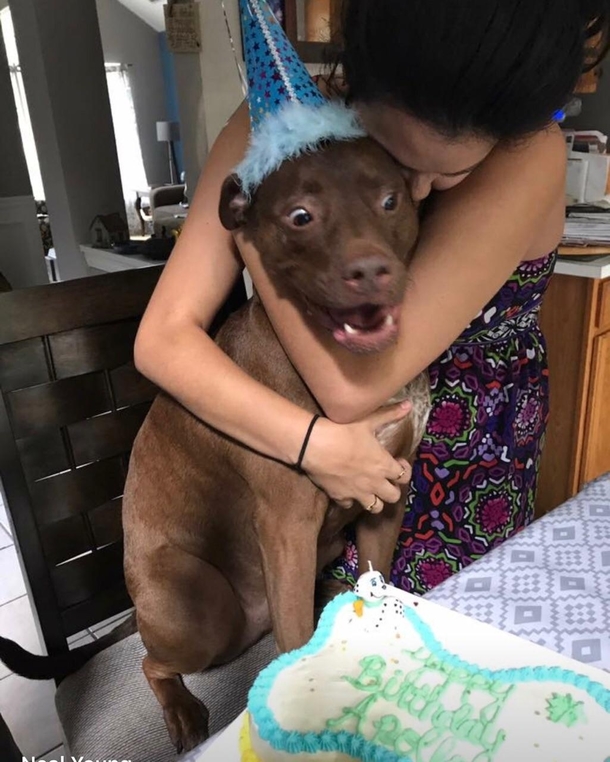 My coworkers dog when he realized its his cake