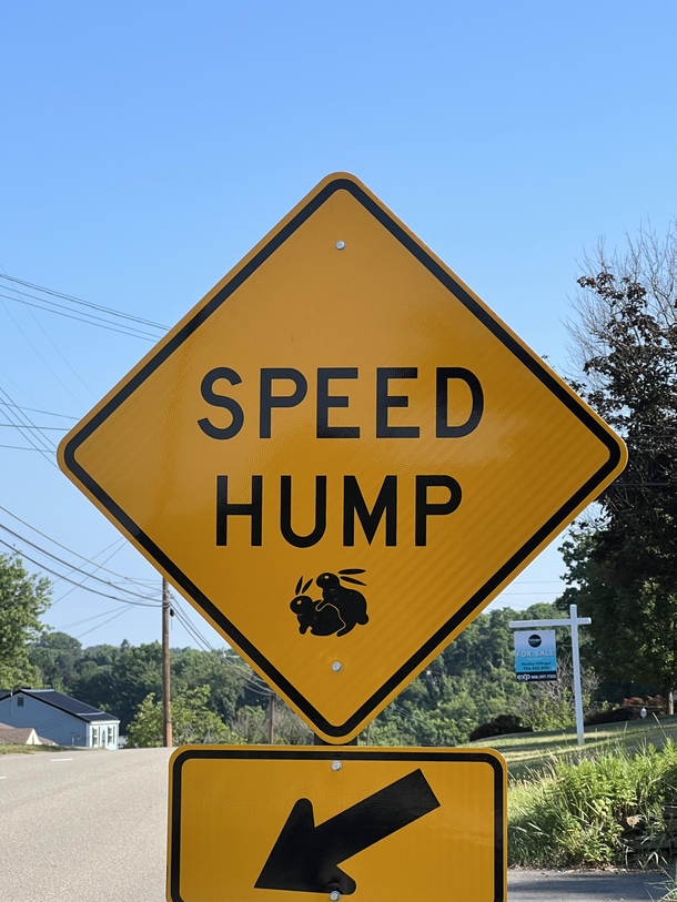 My coworkers revenge for the city putting a speed hump in front of her house and a sign in her yard