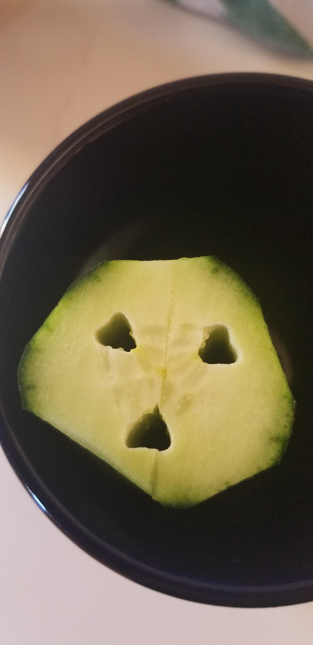 My cucumber wasnt happy with my salad