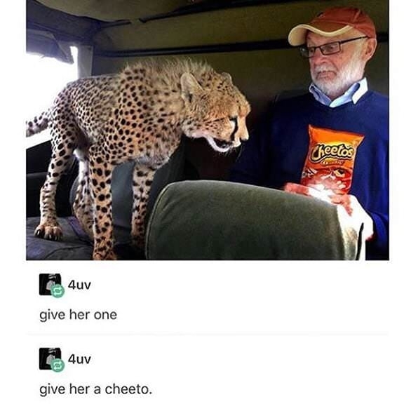 My culture is not your snackfood