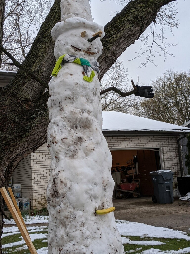 My dad my fianc and I built a snowman today in april Banana for scale