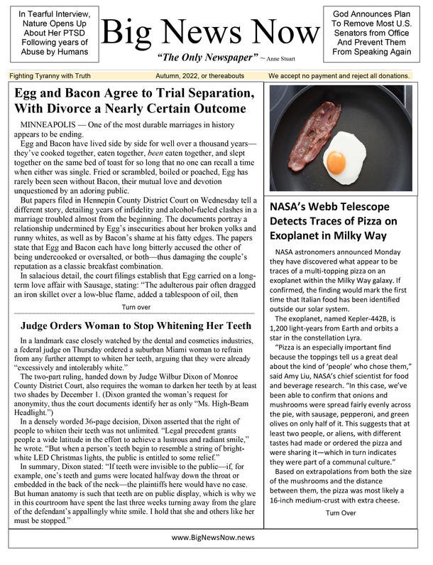 My Dad Retired And Started A Satirical Newspaper - Vol 