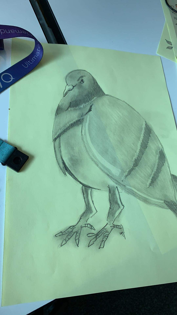 My Dad works in tech support from home and likes to draw birds while waiting for calls This is the one he is most proud of