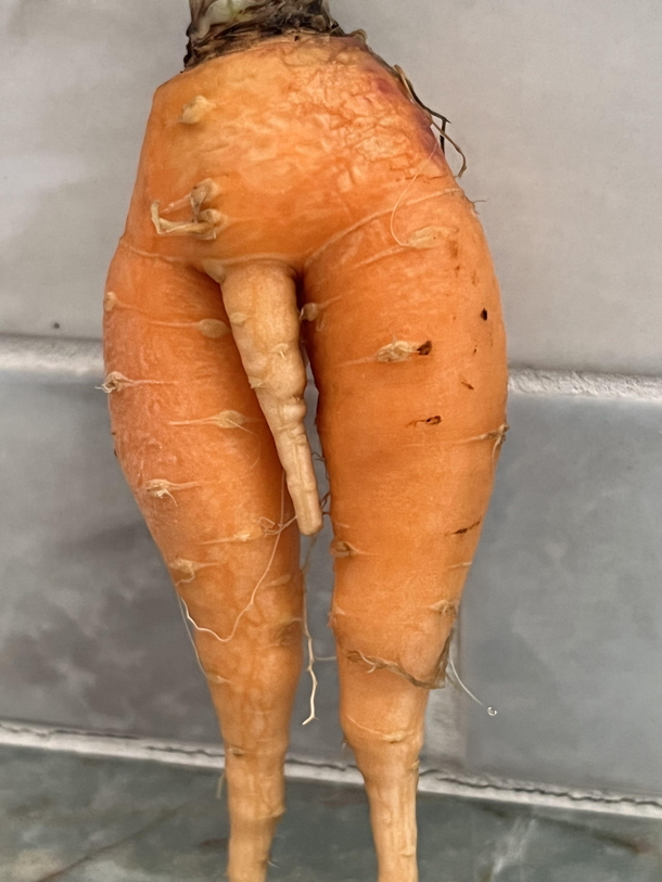 My dads carrot he grew its something