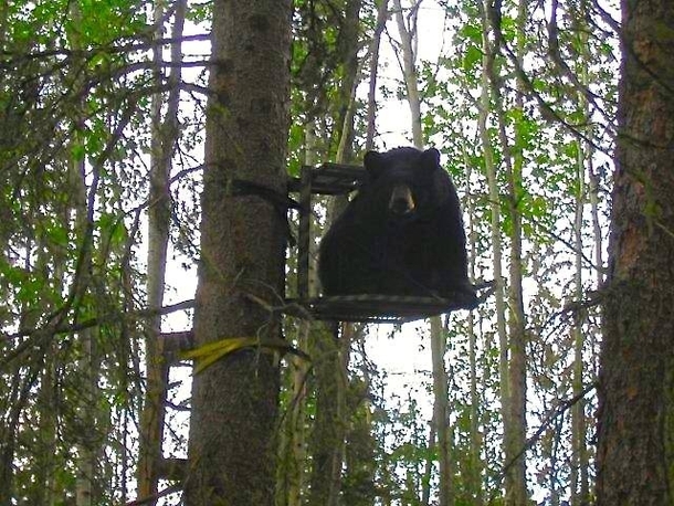 My dads on a hunting trip and just sent this to me with the caption Well what do I do now 