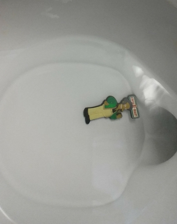 My daughter asked me to help her get a poo out of the toilet I went in not knowing what to expect when suddenly