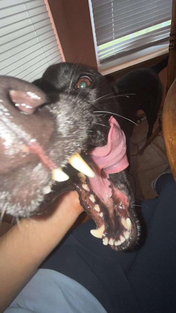 My daughter constantly sends me the most ridiculous pictures she can take