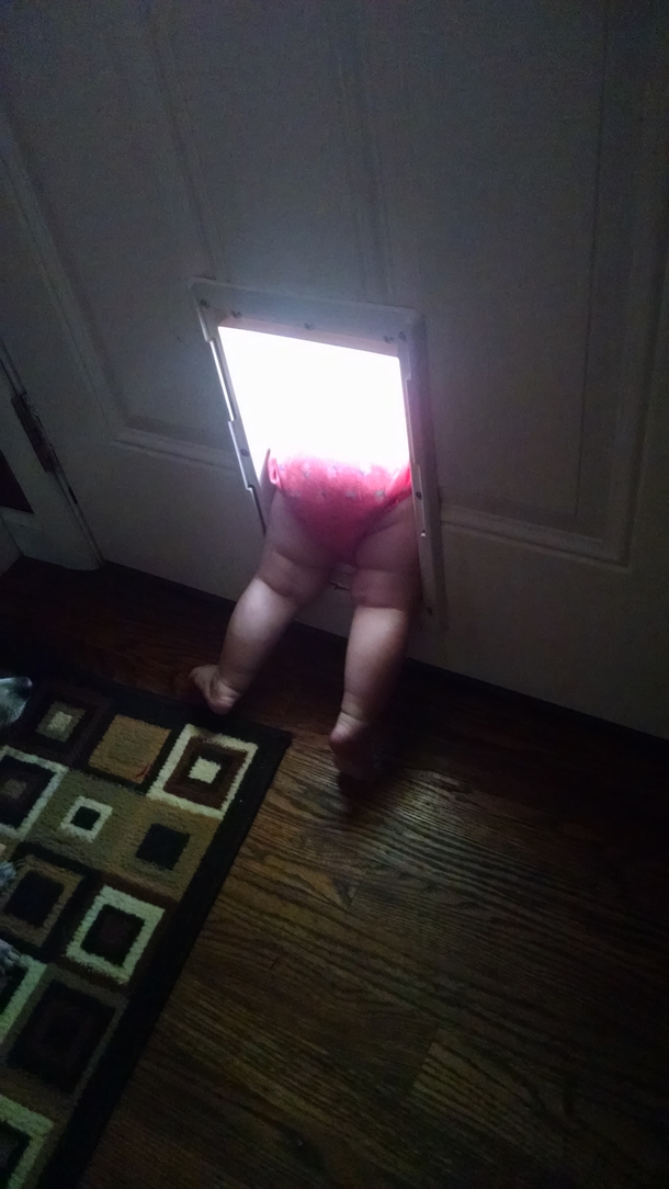 My daughter just discovered the doggy door