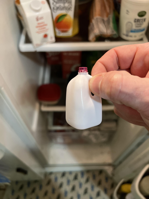 My daughter told me we only had a little milk left in the fridge