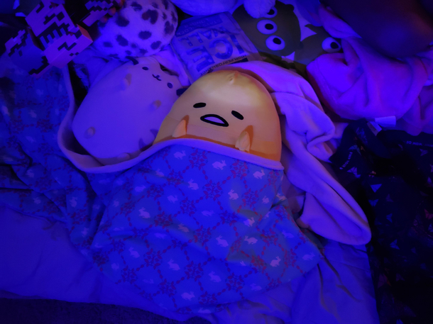 My daughter tucked in her Gudetama for bed The blue night light cast from the fish tank set the scene perfectly