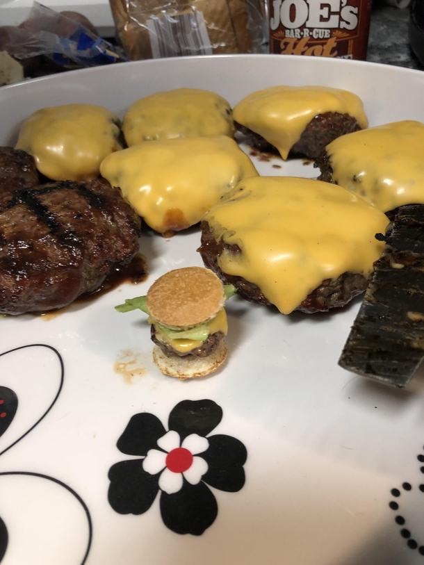 My daughter wanted me to grill a cheeseburger for our small dog