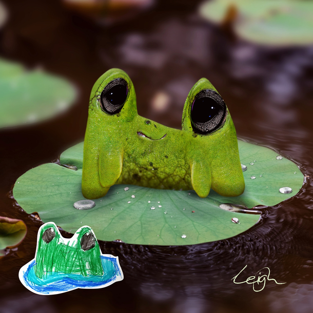 My daughters drawing of a frog