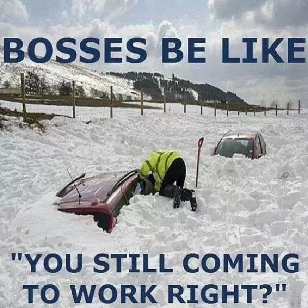 My day today