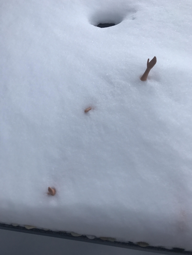 My deck looking like Spring on Everest-