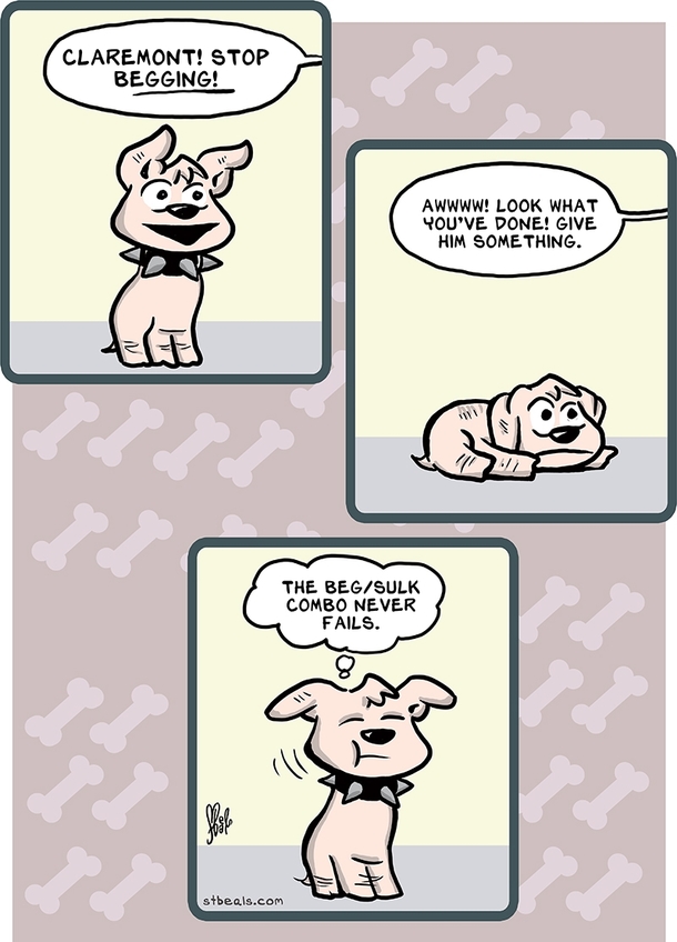 My Dog