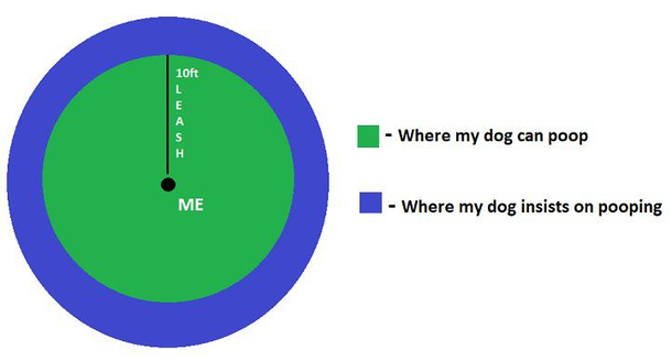 My dog always has to pull that extra bit to do his business
