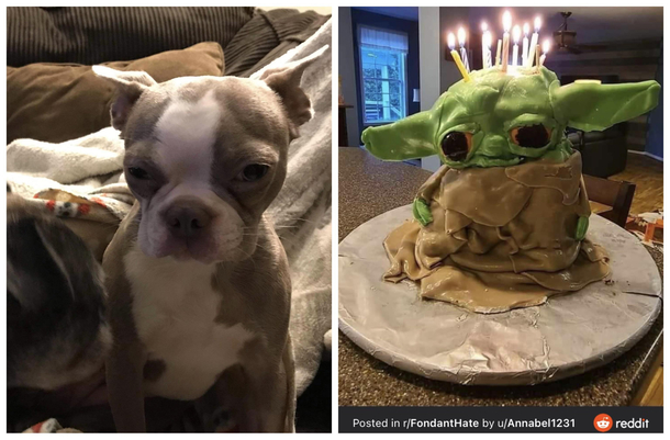 My dog came home from surgery looking like this sad Grogu cake