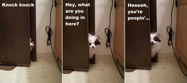 My dog caught me in the act again