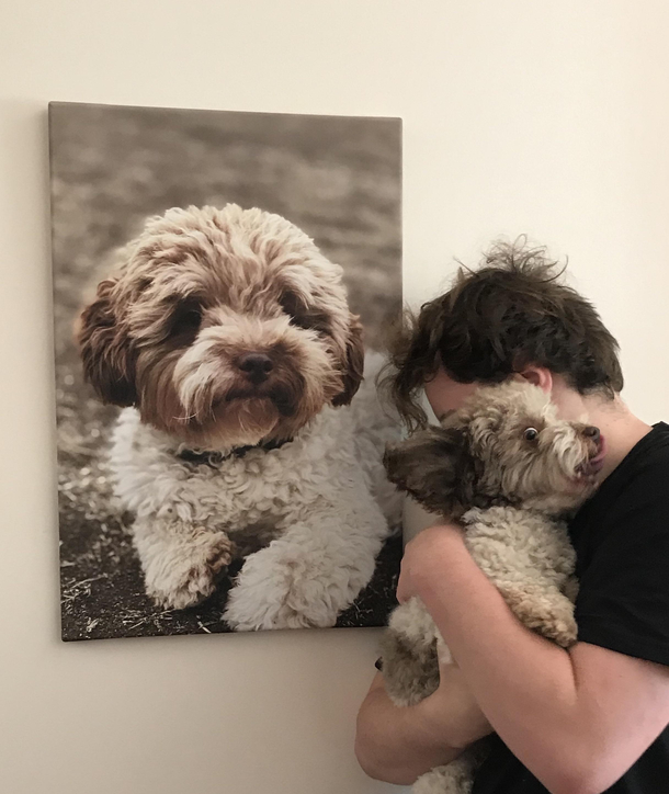 My dog does not approve of my Mothers Day present of him 