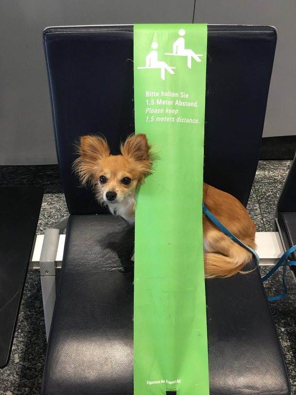 My dog doesnt like being touched by strangers We found the perfect spot for her at the airport