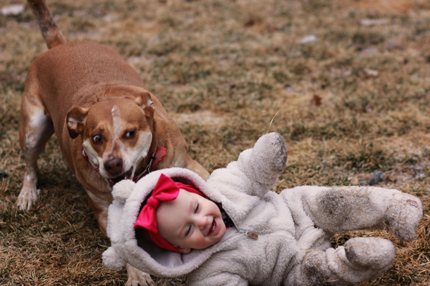 My dog got the zoomies during my daughters photoshoot