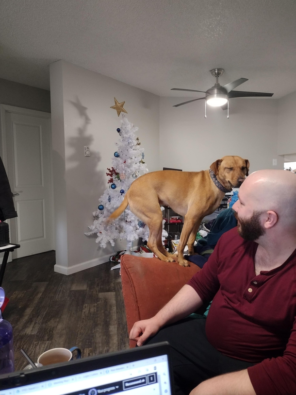 My dog has lived with my cat for too long