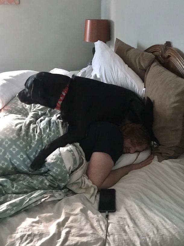 My Dog Has No Boundaries