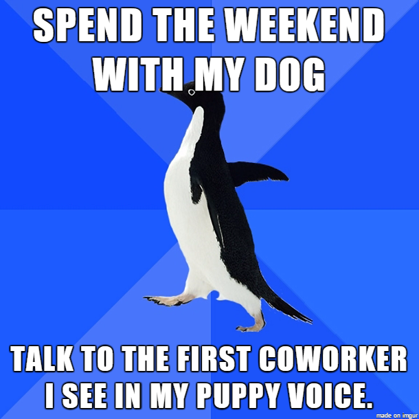 My dog is a good listener