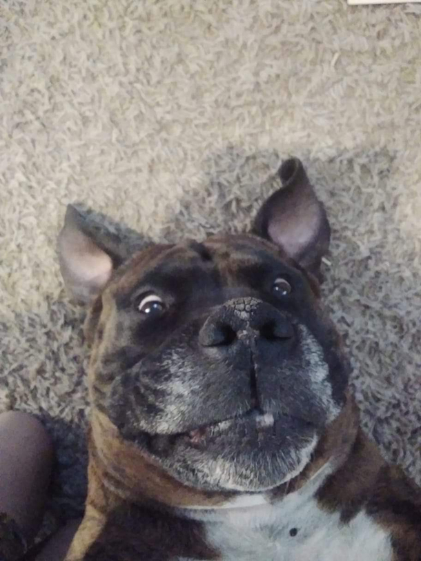 My dog is a little special 