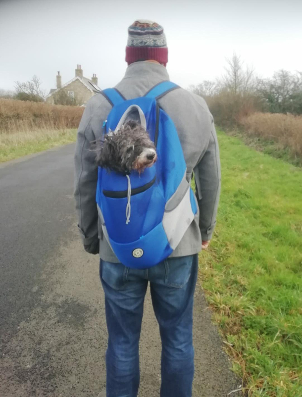 My dog is very old now and she gets all tuckered out on walkiesso my parents bought her a bag to sit in