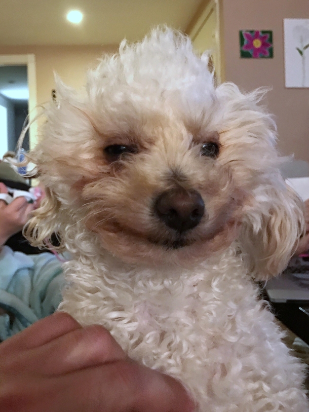 My dog looks high AF