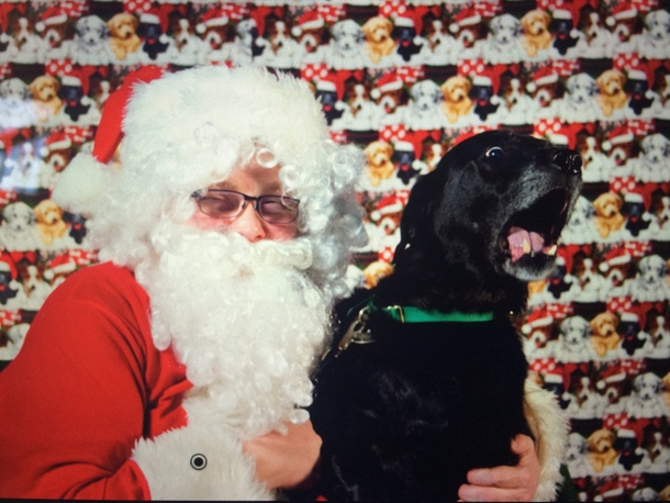 My dog wasnt a fan of Santa