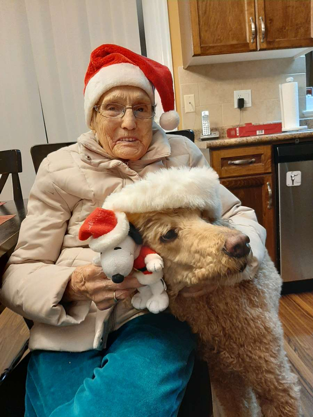 My dog wasnt happy 