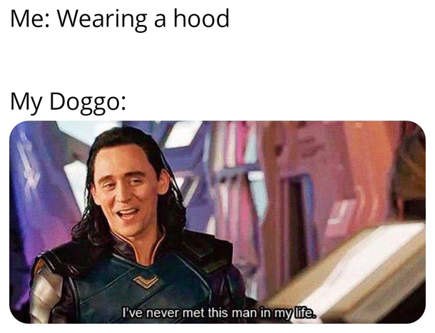 My doggo