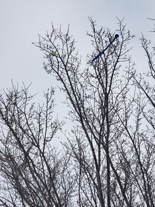 My dogs ball got stuck in a tree so I tried to use the ball launcher to knock it loose and that just made it worse