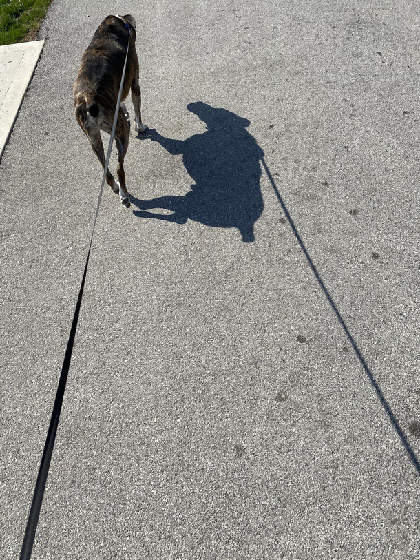 My dogs inner moose