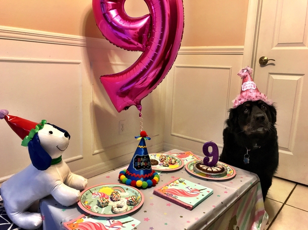 My dogs th birthday was Lit