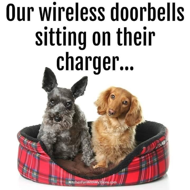 My doorbell barks does yours