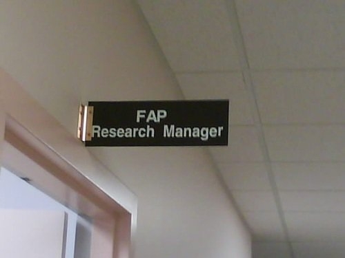 My dream job