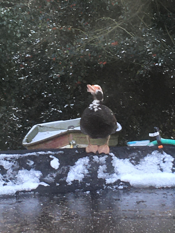 My ducks face in this pic it makes me giggle