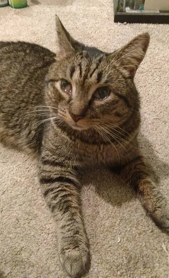My dude had a tooth removed they said the sedative was mild I disagree