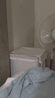 My experience on reddit summed up in one gif