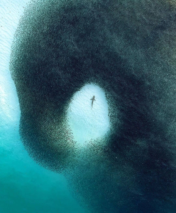My experience when everyone says theres plenty of fish in the sea