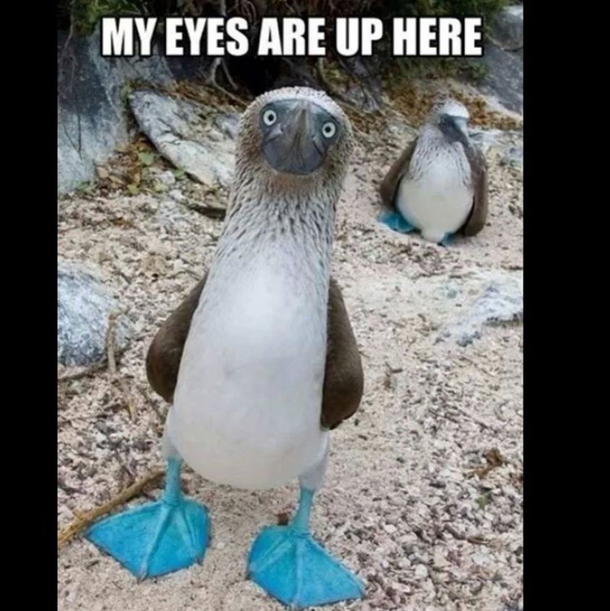 My Eyes Are Up Here